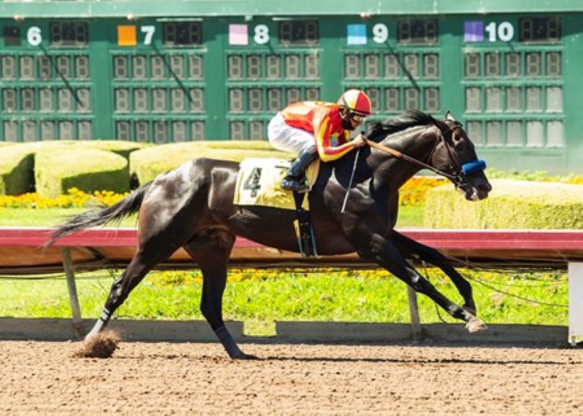 Los Al Derby-Postponed