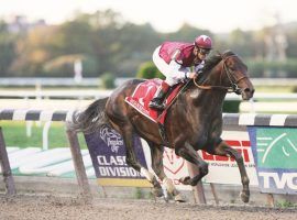 Bernardini's victory here in the 2006 Jockey Club Gold Cup was his sixth and final victory. The 2006 Preakness winner won six of eight races and became a prolific stallion and broodmare sire. (Image: Darley Farm)