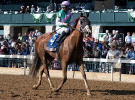 Bonny South prancings took her around the Midwest and Eastern tracks, including this Keeneland victory in April. She runs at her eighth track Saturday in the Grade 2 Delaware Handicap. (Image: Anne M. Eberhardt)