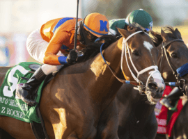 Decorated sprinter C Z Rocket won the Grade 2 Pat O'Brien on this Del Mar track last summer. He look for his first Grade 1 win as the 5/2 favorite in Saturday's Bing Crosby Stakes. (Image: Benoit Photo)