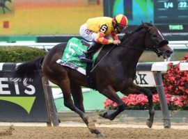 Dayoutattheoffice won the 2020 Frizette Stakes during Belmont Park's Fall Meet. The Grade 1 Frizette is one of 20 graded stakes on Belmont Park's 2021 Fall Meet schedule. (Image: Coglianese Photos)