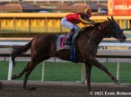 Defunded owns only this maiden special weight win in five starts. But the gelding is the 3/5 favorite to win Sunday's Grade 3 Los Alamitos Derby. (Image: Ernie Belmonte)