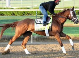 After a disappointing Kentucky Derby, Dynamic One returned from a nearly three-month racing layoff to win the Curlin Stakes at Saratoga. The $725,000 colt may run the Grade 1 Travers at Saratoga next. (Image: Coady Photography/Churchill Downs)