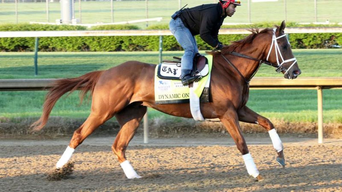 Dynamic One-Curlin