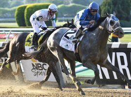 Essential Quality hasn't raced since beating Hot Rod Charlie in the June 5 Belmont Stakes. He is the prohibitive favorite to win his fourth graded stakes race of 2021: the Grade 2 Jim Dandy at Saratoga. (Image: Adam Coglianese/NYRA)