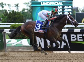 Firenze Fire opened his 6-year-old campaign winning the Grade 3 Runhappy at Belmont Park. He goes for his third consecutive Belmont Park stakes victory and third win of 2021 in Sunday's Grade 2 John A. Nerud Stakes. (Image: Susie Raisher)