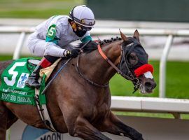 Louisiana Derby winner Hot Rod Charlie hasn't finished worse than third in his last six races. He looks for his first Grade 1 victory as the 6/5 favorite in Saturday's Haskell Stakes at Monmouth Park. (Image: Jamie Newell/TwinSpires.com)