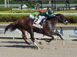 Jesus' Team won December's Claiming Crown Jewel Stakes for his only stakes victory. The one-time claimer returns to the track as a millionaire for Sunday's City of Dania Stakes at Gulfstream Park. (Image: Lauren King/Coglianese Photos)