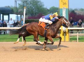 Mr. Wireless broke his maiden with this March victory at Oaklawn Park. He is expected to provide competition to favorite Fulsome in Wednesday's Grade 3 Indiana Derby. (Image: Coady Photography)