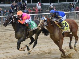 Mystic Guide (right) lost the Grade 2 Suburban Stakes to Max Player earlier this month. Afterwards, X-rays revealed a bone chip in Mystic Guide's knee that requires surgery. (Image: Elsa Lorieul/Coglianese Photos/NYRA)