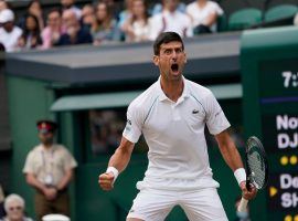 Novak Djokovic (pictured) will try to earn his record-tying 20th Grand Slam title on Sunday when he faces Matteo Berrettini in the Wimbledon final. (Image: Alberto Pezzali/AP)