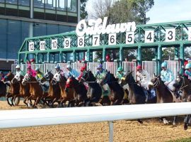 Oaklawn Park's 2021-22 stakes schedule consists of a record 36 stakes. Included is a revamping of its Kentucky Derby trail stops. (Image: Coady Photography)