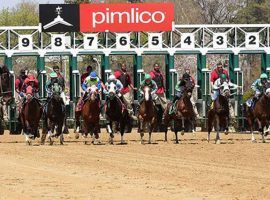 Pimlico Race Course built up a record $1.351 million Rainbow 6 jackpot that must be paid out by Sunday. (Image: Maryland Jockey Club)