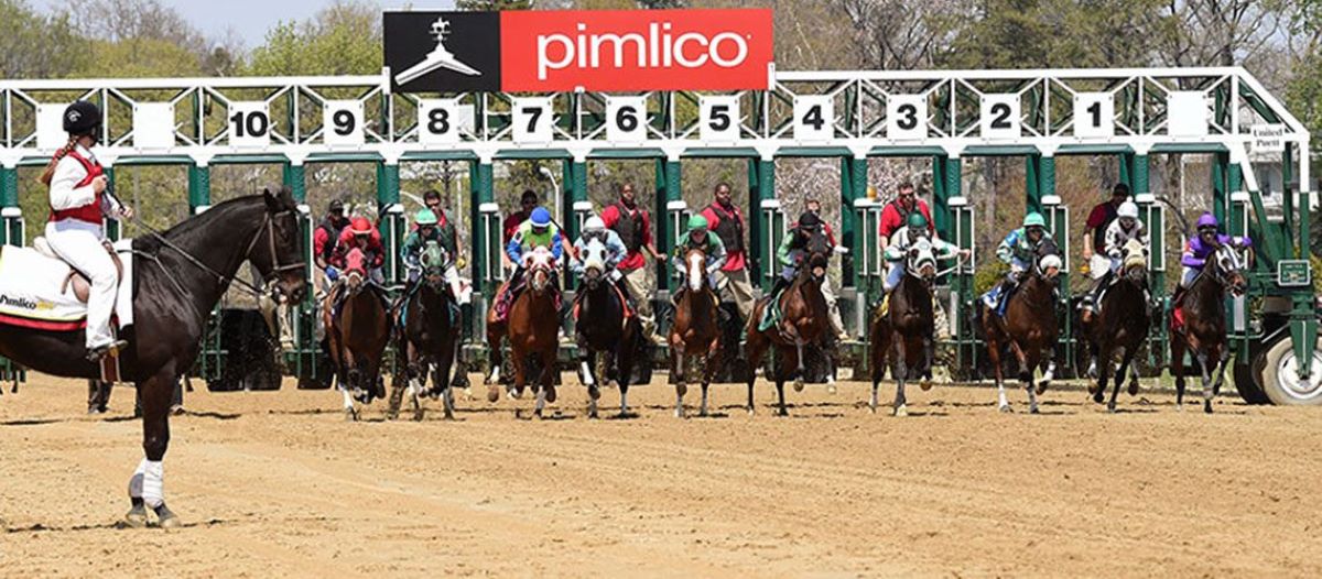 Pimlico-Record Rainbow 6