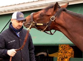 After recent workouts didn't meet his approval, trainer Mike McCarthy decided Preakness Stakes winner Rombauer needed a freshening. So he's giving his prize colt the next 60 days off. (Image: Maryland Jockey Club)