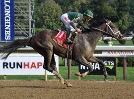 Wit breezed to an eight-length victory in Saturday's Sanford Stakes at Saratoga. He vaulted to the front of 2022 Kentucky Derby prospects, winning his two races by a combined 14 lengths. (Image: Susie Raisher/Coglianese Photos)