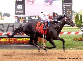 Standout sprinter Yaupon won Sunday's Lite the Fuse Stakes at Pimlico. He was one of two favorites finding the winner's circle in Pimlico's Rainbow 6 mandatory payout day. (Image: Maryland Jockey Club)