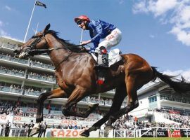 Adayar's Epsom Derby prance and his victory in the King George VI and Queen Elizabeth Stakes skipped him to a share of the top spot in the latest Longines World's Best Racehorse Rankings. (Image: Reuters)