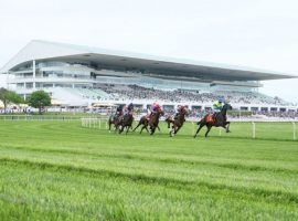 Arlington Park faces a very uncertain future heading into what is likely its final high-profile turn. That's Saturday's Grade 1 Mr. D Stakes, a race formerly known as the Arlington Million. (Image: Coady Photography)