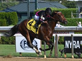 One-time A-list 3-year-old Art Collector won the Alydar Stakes at Saratoga for his first win in nearly a year. He travels to West Virginia ,where he's the 5/2 favorite for Friday's Grade 2 Charles Town Classic. (Image: NYRA)