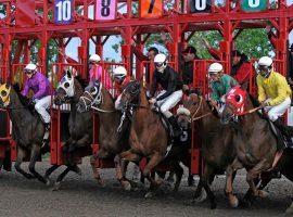 Assiniboia Downs put up $1 million for a single Pick 5 ticket on Manitoba Derby Day. That is the Winnipeg-area's flagship race. (Image: Assiniboia Downs)