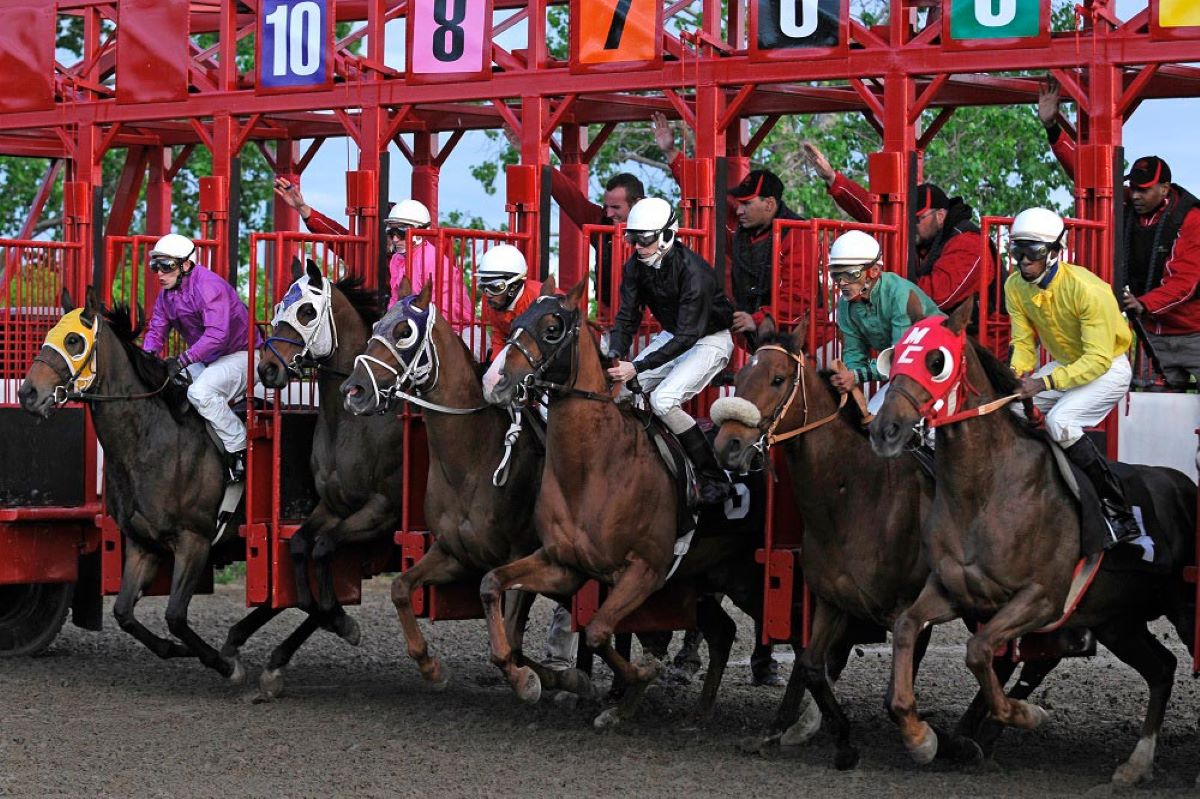 Assiniboia Downs $1 million Pick 5