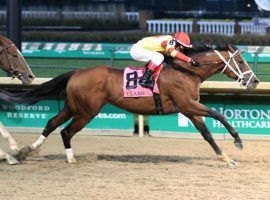 Bodexpress captured last year's Grade 1 Clark Stakes at Churchill Downs. That older-horse race is the only Grade 1 on the track's September or Fall Meet schedule. (Image: Coady Photography)