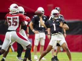 The Arizona Cardinals will bring a sportsbook to their stadium, the first one to appear in an NFL arena. (Image: Mark J. Rebilas/USA Today Sports)