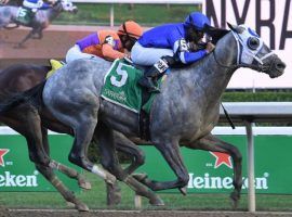 Essential Quality nipped Keepmeinmind to win last month's Grade 2 Jim Dandy at Saratoga. The two tangle again in Saturday's Travers Stakes, one of six Grade 1s on Saratoga's Saturday card. (Image: Susie Raisher/NYRA Photo)