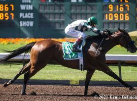 Gamine's balletic stride is illustrated in her 10-length romp in July's Great Lady M Stakes at Los Alamitos. The Champion Female Sprinter of 2020 returns to Saratoga Saturday for the Grade 1 Ballerina Stakes. (Image: Ernie Belmonte)