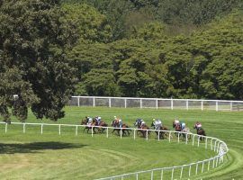 The unique-to-America Kentucky Downs turf course offers the biggest pari-mutuel payouts of any US track. It begins its short, six-day season Sunday. (Image: Coady Photography)