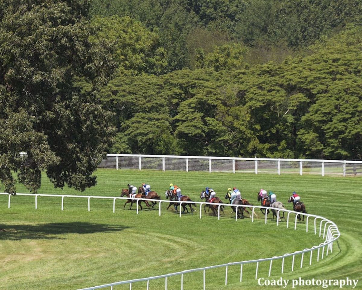 Kentucky Downs-payouts