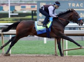 Unbeaten Life Is Good expects to return for the Grade 1 H. Allen Jerkens Aug. 28 at Saratoga. Likely foes include Jackie's Warrior, Drain the Clock and Following Sea. (Image: Horsephotos)