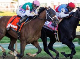 Mandaloun, who finished second to Medina Spirit in the Kentucky Derby, is is unlikely to race the remainder of the year after being diagnosed with a sore hind foot. (Image: Alton Strupp/Courier Journal)