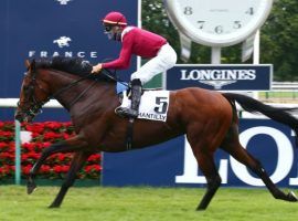 French Derby winner and Saudi Cup winner Mishriff is the favorite to win Wednesday's Group 1 Juddmonte International at York Racecourse. The Juddmonte is one of three Group 1 events in the 28-race, four-day racing festival. (Image: France Galop/scoopdyga.com)