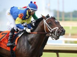 Mr Wireless called up this nearly four-length Indiana Derby victory last month. He returns as the 9/5 morning-line favorite for Saturday's Grade 3 West Virginia Derby at Mountaineer Park. (Image: Coady Photography)