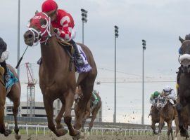 Munnyfor Ro put her Woodbine Oaks rivals in the rear-view mirror. She comes back on three weeks rest trying to do the same in the Queen's Plate at Woodbine. (Image: Michael Burns Photo)