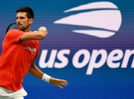 Novak Djokovic enters the US Open as the favorite to win the tournament and complete a historic calendar-year Grand Slam. (Image: USOpen.org)