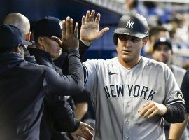 The New York Yankees congratulate Anthony Rizzo after he smashed a home run against the Miami Marlins. (Image: Eric Espada/Getty)