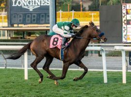 Rock Your World won his first three races before stumbling in two of the Triple Crown events. He's nominated for the 
 Grade 1 Pacific Classic at Del Mar. (Image: Hronis Racing)