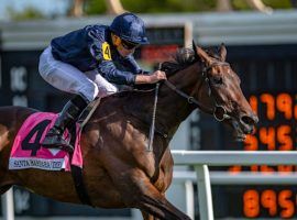 Irish filly Santa Barbara won her second American Grade 1 in as many months Saturday. She breezed to a three-length victory in the Beverly D Stakes at Arlington Park. (Image: Jamie Newell/TwinSpires)