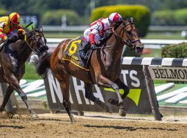 Search Results won the Grade 1 Acorn at Belmont Park two starts ago. Despite going 4-for-6 this year, the 3-year-old filly is taking the rest of the year off to rest. (Image: Claiborne Farm)