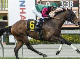 Despite his San Luis Rey Stakes win here, Ward 'n Jerry finds allowance company more to his liking. The 8-year-old runs in a Del Mar allowance Thursday that could key Del Mar's Jackpot Pick 6. (Image: Benoit Photo)