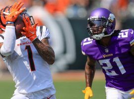 Rookie wideout Ja'Marr Chase from the Cincinnati Bengals catches a touchdown pass from Joe Burrow against the Minnesota Vikings. (Image: Getty)