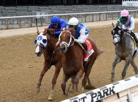 Happy Saver (right) shakes pursuer Mystic Guide in deep stretch of last year's Grade 1 Jockey Club Gold Cup. Happy Saver seeks to be the 11th repeat champion of one of the New York Racing Association's most historic events. (Image: Chelsea Durand/NYRA)