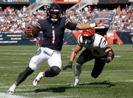 Rookie quarterback Justin Field evades a tackler from the Cincinnati Bengals last weekend, but he gts his first taste as a starting QB in Week 3. (Image: Danielle Noonan/Getty)