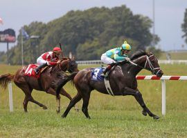 Due to a contract impasse, horseplayers at the three NYRA tracks, including Saratoga, won't be able to bet on Kentucky Downs races during the all-turf track's six-day meet. (Image: Kentucky Downs)