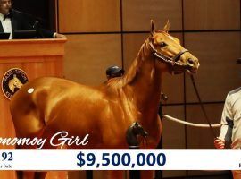 After Monomoy Girl sold for a record $9.5 million last November, she went back to training for her 6-year-old campaign. She was retired after fracturing a small bone in her leg during a routine gallop. (Image: Fasig-Tipton)