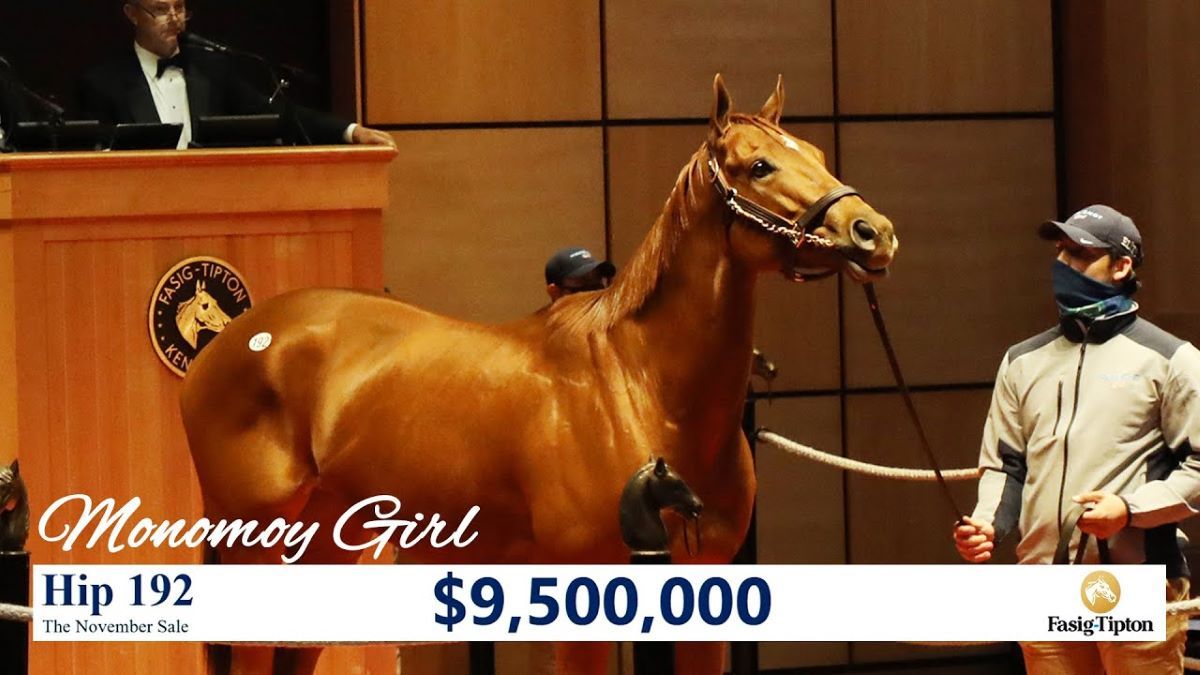 Monomoy Girl-retirement