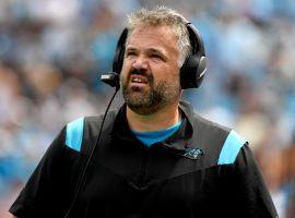 Matt Rhule head coach of the Carolina Panthers led his team to first place in the NFC South after a 3-0 record. (Image: Getty)